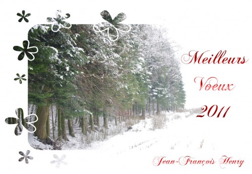 MeilleursVoeux2011.jpg